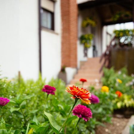 Apartment Sovdat โทลมิน ภายนอก รูปภาพ