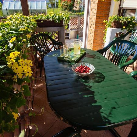 Apartment Sovdat โทลมิน ภายนอก รูปภาพ