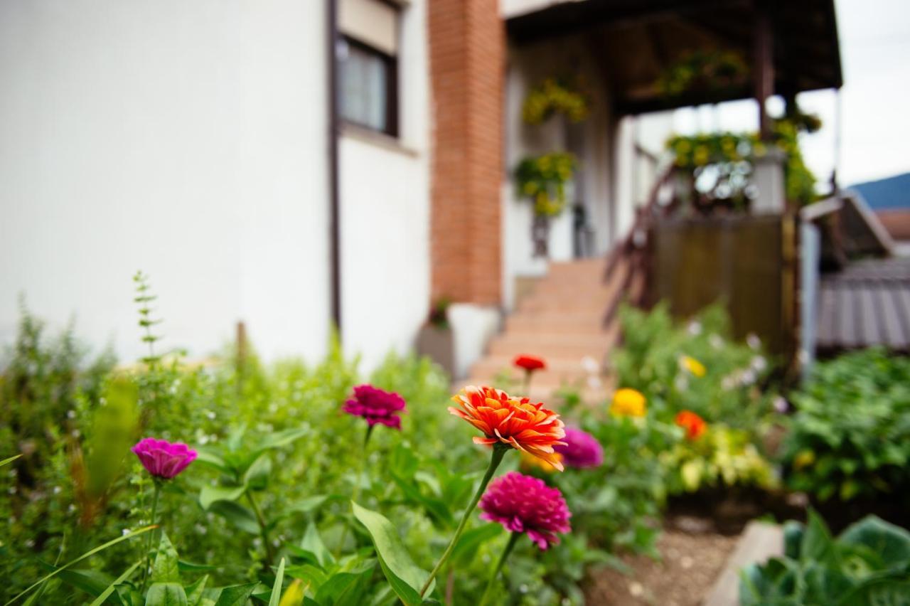 Apartment Sovdat โทลมิน ภายนอก รูปภาพ